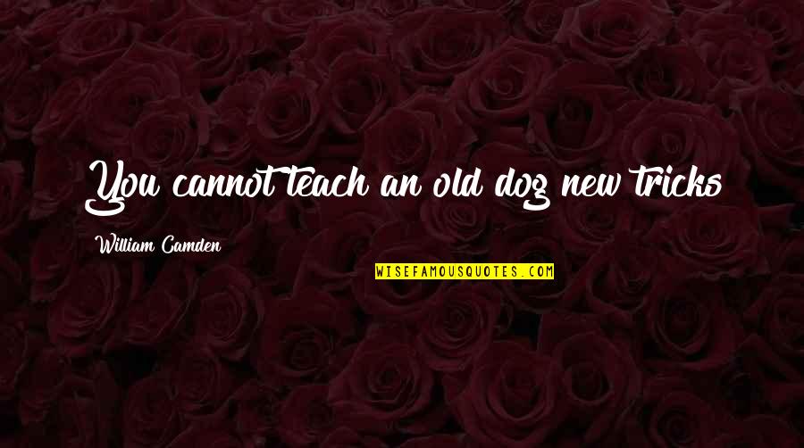 Empty Vessels Quotes By William Camden: You cannot teach an old dog new tricks