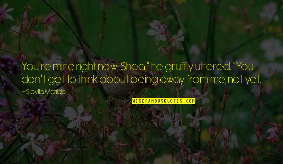 Empuardise Quotes By Sibylla Matilde: You're mine right now, Shea," he gruffly uttered. Empuardise Quotes By Sibylla Matilde: You're mine right now, Shea," he gruffly uttered.