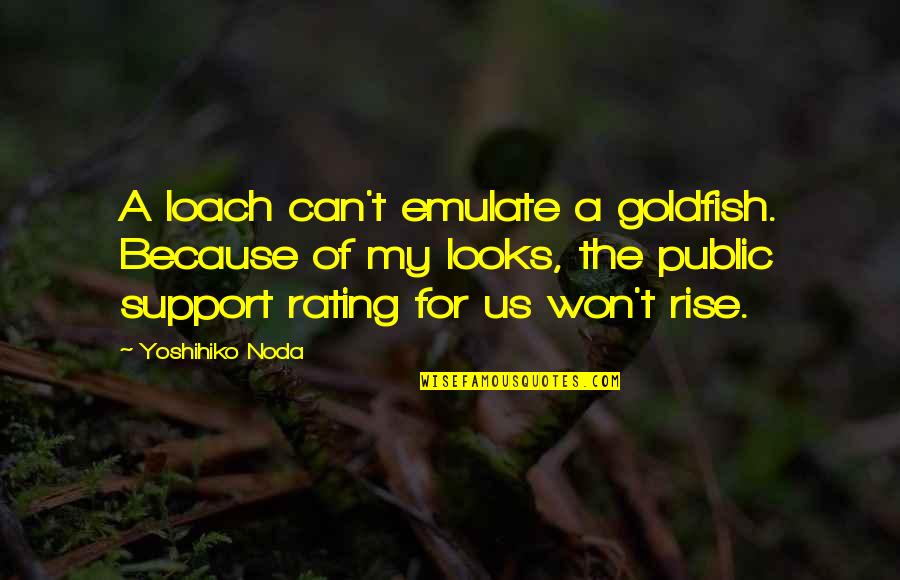 Emulate Quotes By Yoshihiko Noda: A loach can't emulate a goldfish. Because of