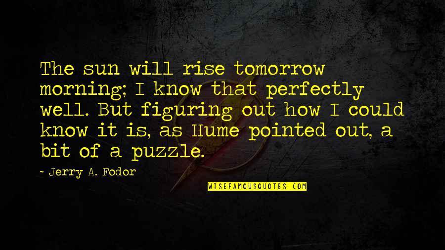 Emunim Quotes By Jerry A. Fodor: The sun will rise tomorrow morning; I know