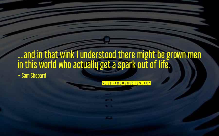 En La Ardiente Oscuridad Quotes By Sam Shepard: ....and in that wink I understood there might