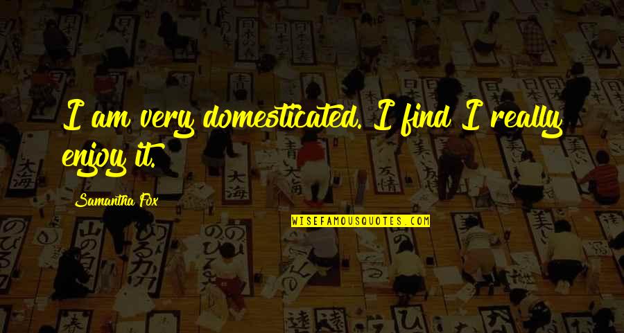 Enactor Quotes By Samantha Fox: I am very domesticated. I find I really