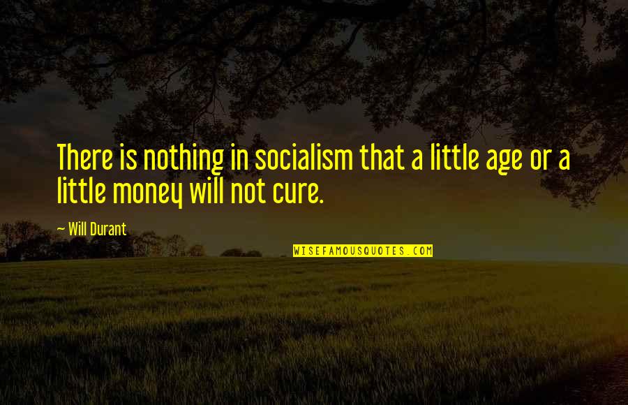 Enamels Teeth Quotes By Will Durant: There is nothing in socialism that a little