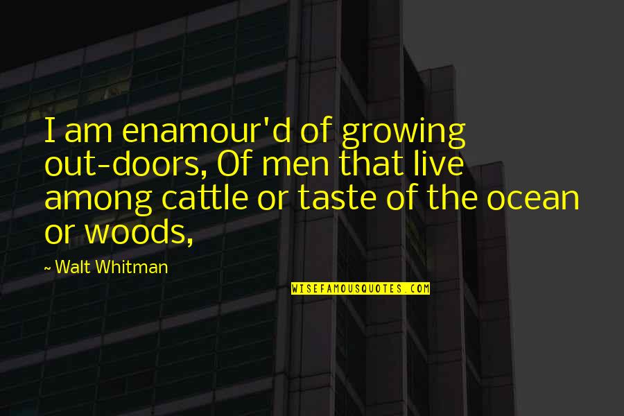 Enamour Quotes By Walt Whitman: I am enamour'd of growing out-doors, Of men