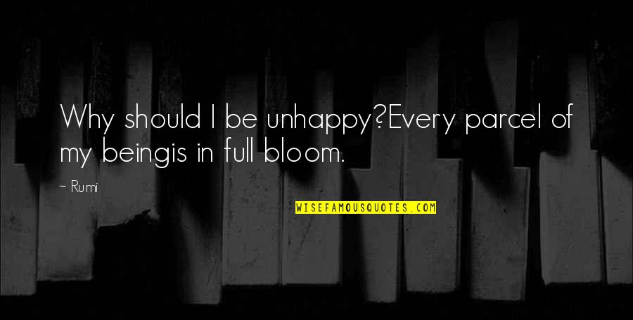 Enarat Quotes By Rumi: Why should I be unhappy?Every parcel of my