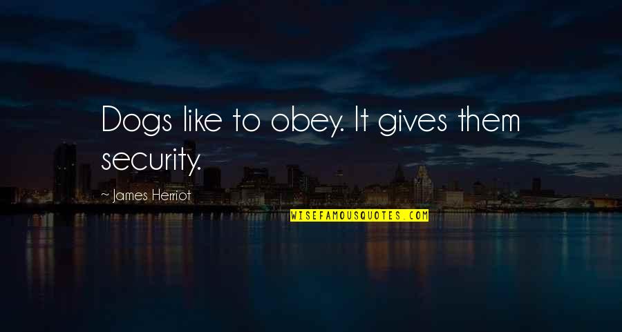 Encadenados Quotes By James Herriot: Dogs like to obey. It gives them security. Encadenados Quotes By James Herriot: Dogs like to obey. It gives them security.