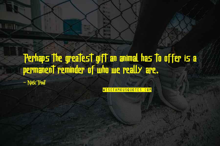 Encantado Quotes By Nick Trout: Perhaps the greatest gift an animal has to Encantado Quotes By Nick Trout: Perhaps the greatest gift an animal has to