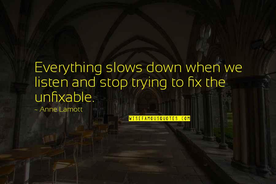Encender Quotes By Anne Lamott: Everything slows down when we listen and stop