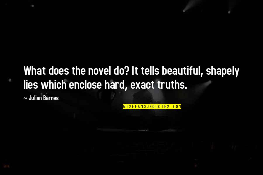 Enclose Quotes By Julian Barnes: What does the novel do? It tells beautiful,
