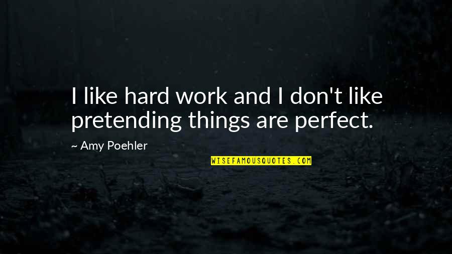 Encontrastes Quotes By Amy Poehler: I like hard work and I don't like