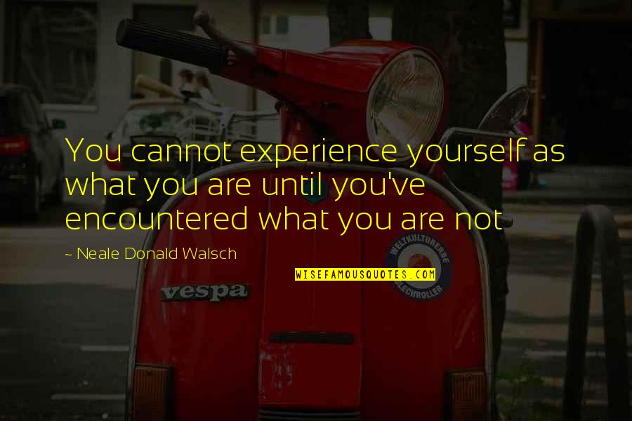 Encountered Quotes By Neale Donald Walsch: You cannot experience yourself as what you are