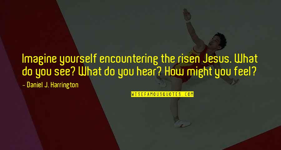 Encountering Jesus Quotes By Daniel J. Harrington: Imagine yourself encountering the risen Jesus. What do