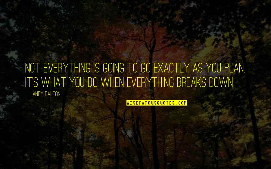 Encyclopedist Of Seville Quotes By Andy Dalton: Not everything is going to go exactly as Encyclopedist Of Seville Quotes By Andy Dalton: Not everything is going to go exactly as
