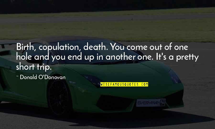 End Homelessness Quotes By Donald O'Donovan: Birth, copulation, death. You come out of one End Homelessness Quotes By Donald O'Donovan: Birth, copulation, death. You come out of one