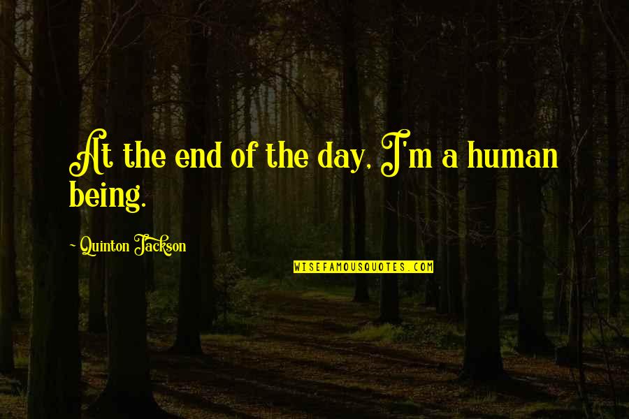 End Of A Day Quotes By Quinton Jackson: At the end of the day, I'm a