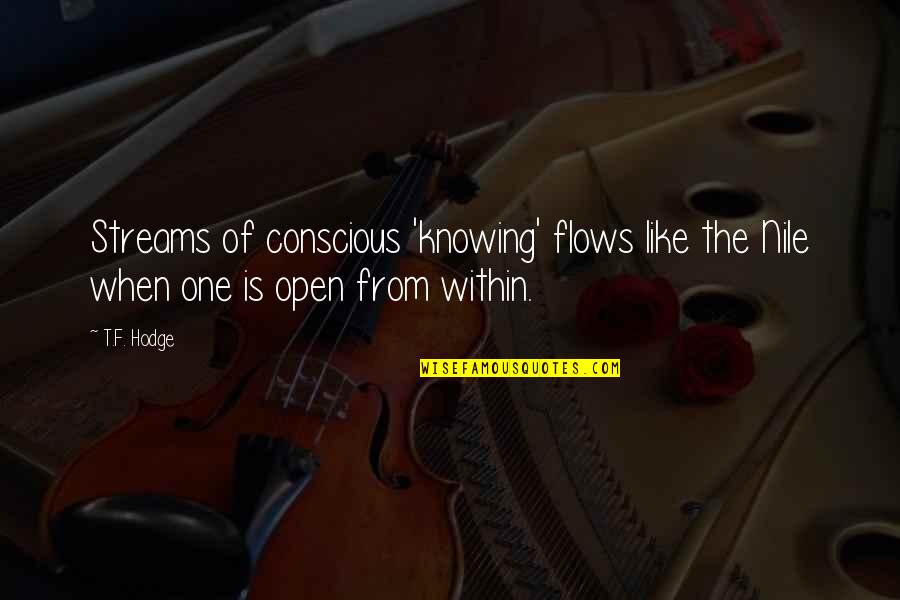 Enda Walsh Quotes By T.F. Hodge: Streams of conscious 'knowing' flows like the Nile