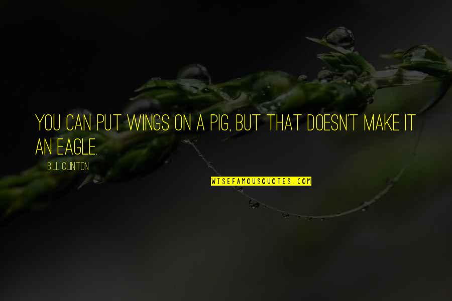 Endah Promenade Quotes By Bill Clinton: You can put wings on a pig, but