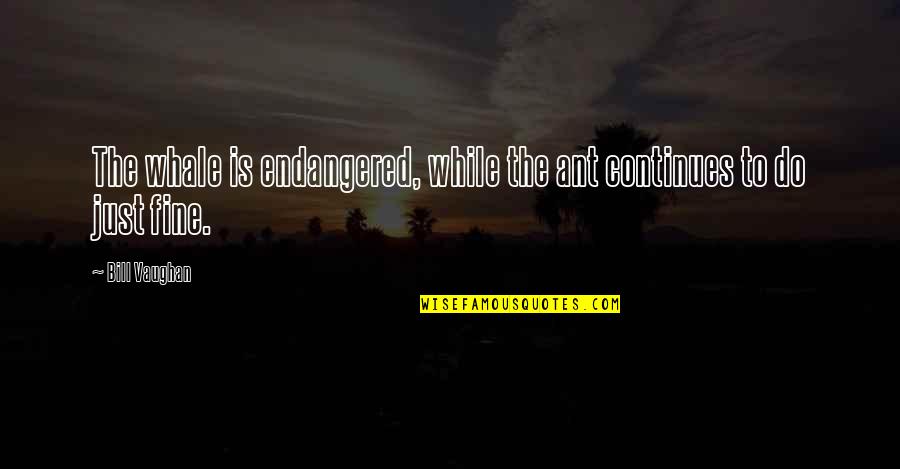 Endangered Quotes By Bill Vaughan: The whale is endangered, while the ant continues