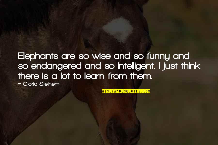 Endangered Quotes By Gloria Steinem: Elephants are so wise and so funny and
