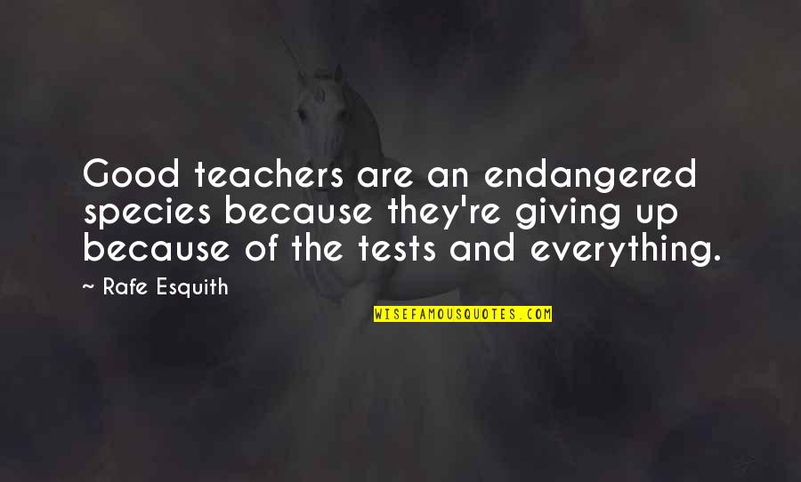 Endangered Quotes By Rafe Esquith: Good teachers are an endangered species because they're