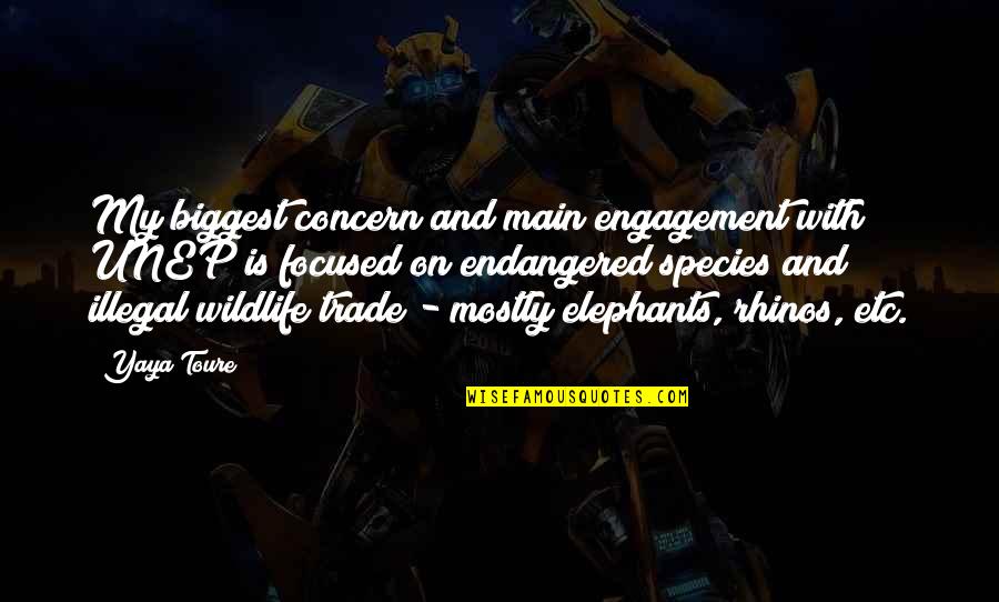 Endangered Wildlife Quotes By Yaya Toure: My biggest concern and main engagement with UNEP