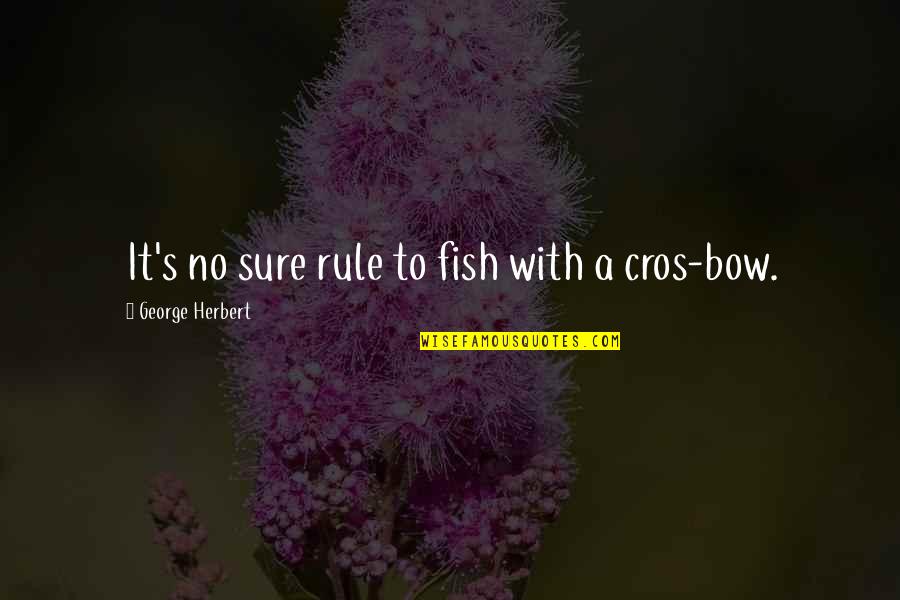 Endearing Mothers Quotes By George Herbert: It's no sure rule to fish with a