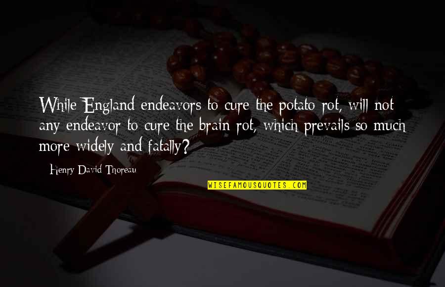 Endeavors Quotes By Henry David Thoreau: While England endeavors to cure the potato-rot, will