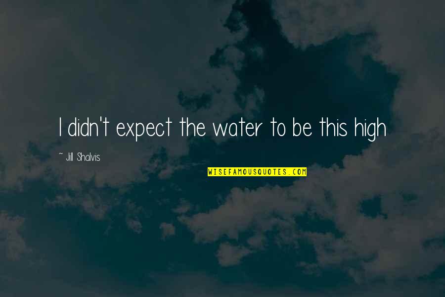 Ending The Pain Quotes By Jill Shalvis: I didn't expect the water to be this