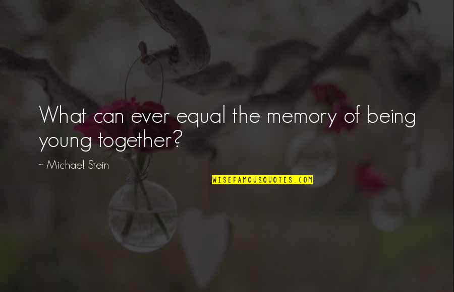 Ending The Year 2013 Quotes By Michael Stein: What can ever equal the memory of being