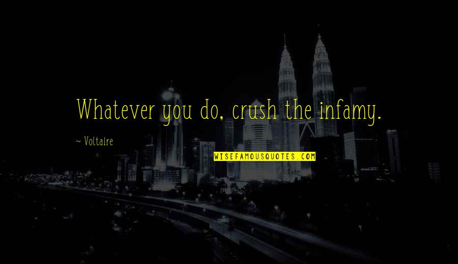 Ending Up Alone Quotes By Voltaire: Whatever you do, crush the infamy.