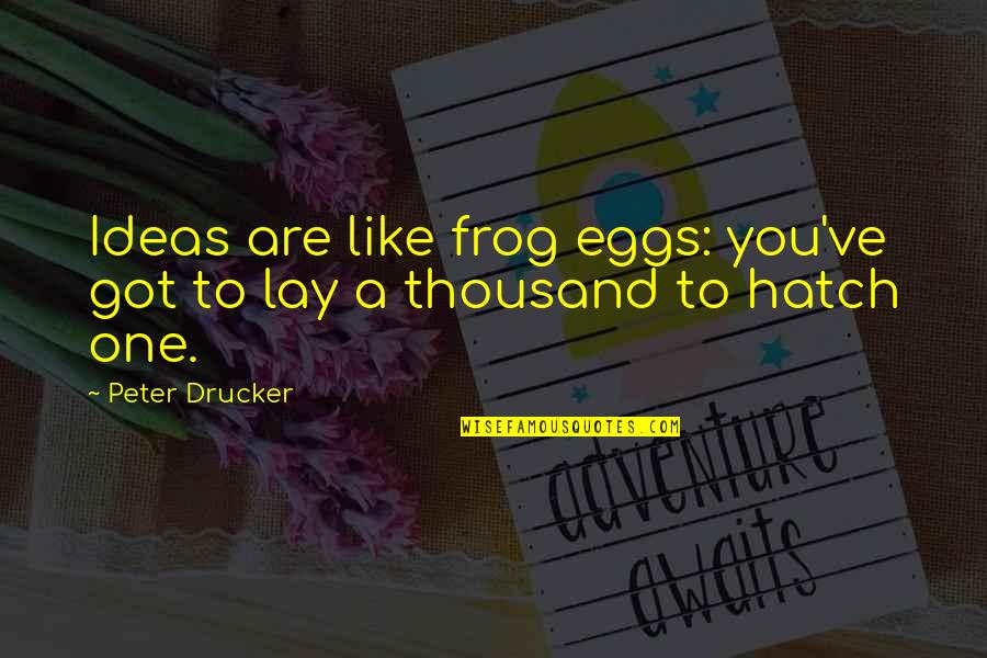 Ending Your Relationship Quotes By Peter Drucker: Ideas are like frog eggs: you've got to