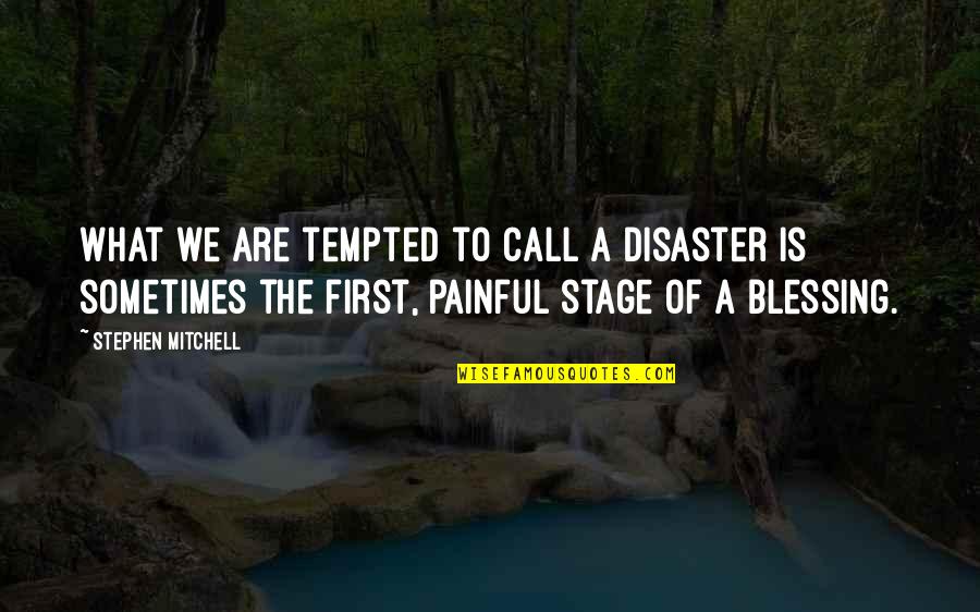 Endives Quotes By Stephen Mitchell: What we are tempted to call a disaster