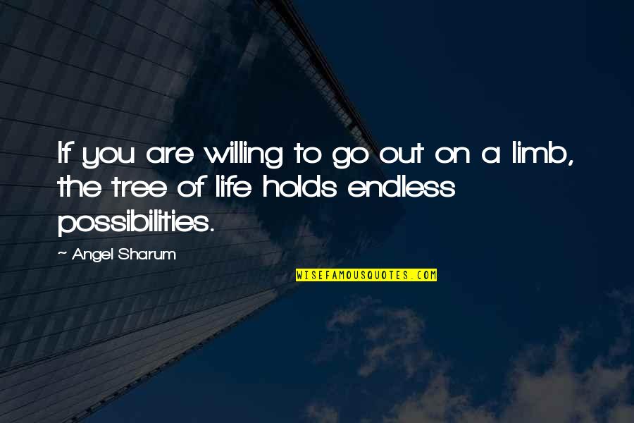 Endless Possibilities Quotes By Angel Sharum: If you are willing to go out on
