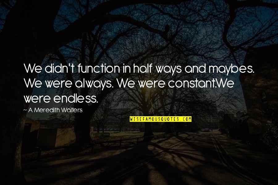 Endless Quotes By A Meredith Walters: We didn't function in half ways and maybes.