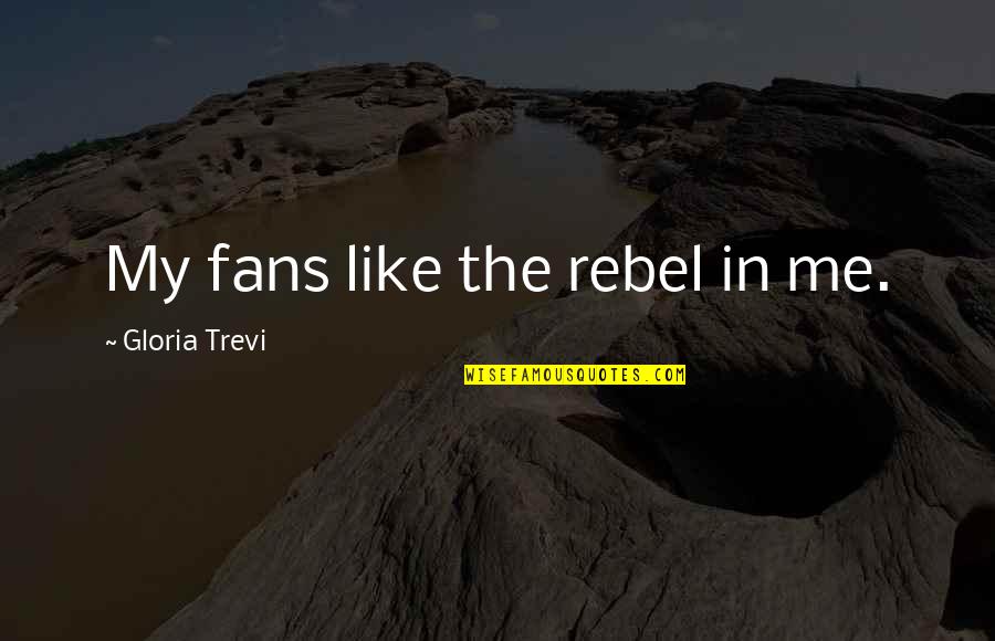 Endologix Quotes By Gloria Trevi: My fans like the rebel in me.