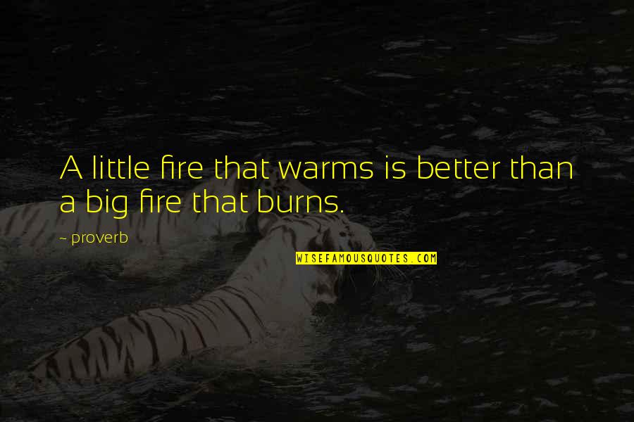 Endosperm Quotes By Proverb: A little fire that warms is better than