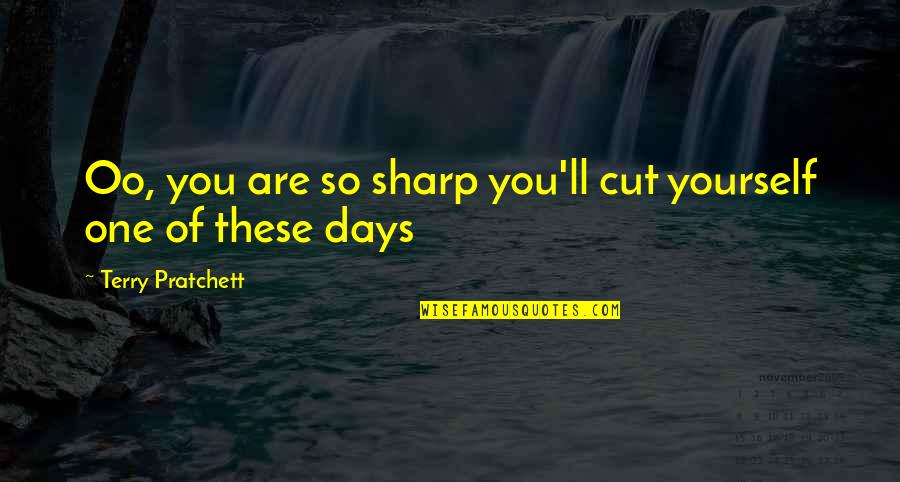 Endowment Life Insurance Quotes By Terry Pratchett: Oo, you are so sharp you'll cut yourself