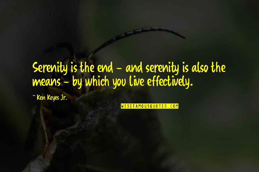 Ends And Means Quotes By Ken Keyes Jr.: Serenity is the end - and serenity is