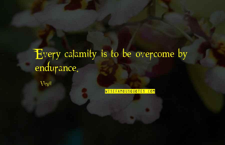 Endurance And Strength Quotes By Virgil: Every calamity is to be overcome by endurance.