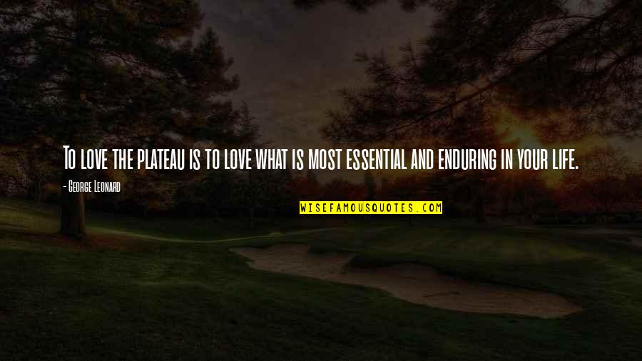 Enduring Love Quotes By George Leonard: To love the plateau is to love what Enduring Love Quotes By George Leonard: To love the plateau is to love what