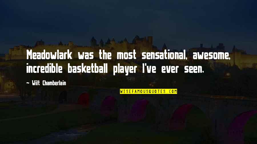 Enduringly Horse Quotes By Wilt Chamberlain: Meadowlark was the most sensational, awesome, incredible basketball