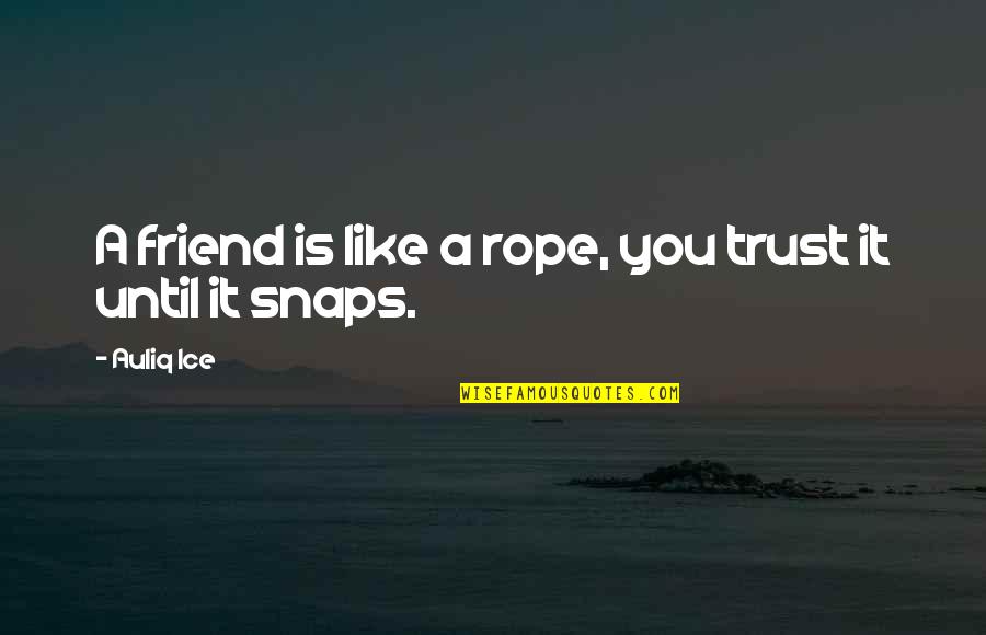 Enemity Quotes Quotes By Auliq Ice: A friend is like a rope, you trust