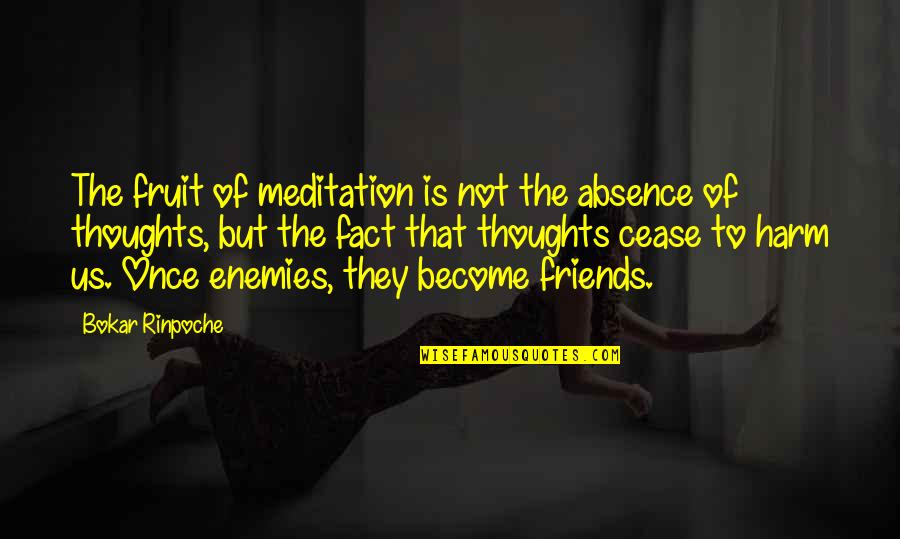 Enemy Become Friends Quotes By Bokar Rinpoche: The fruit of meditation is not the absence