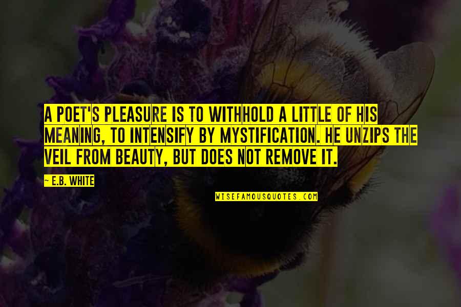 Enemy Ink Quotes By E.B. White: A poet's pleasure is to withhold a little Enemy Ink Quotes By E.B. White: A poet's pleasure is to withhold a little