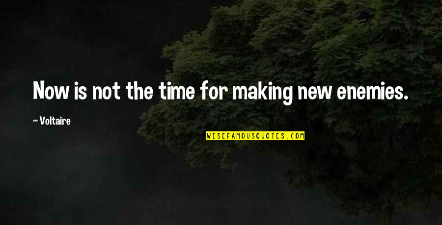 Enemy Is Time Quotes By Voltaire: Now is not the time for making new