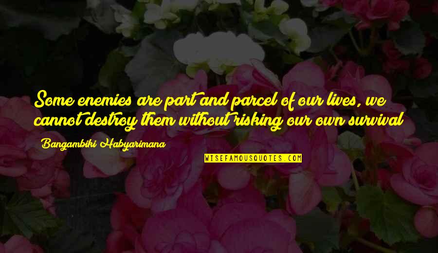 Enemy Quotes And Quotes By Bangambiki Habyarimana: Some enemies are part and parcel of our
