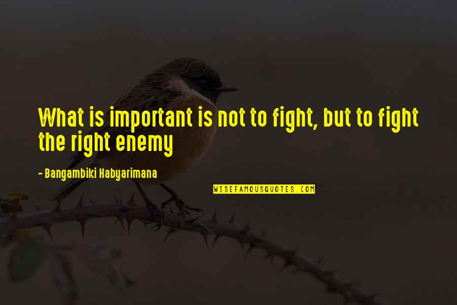 Enemy Quotes Quotes By Bangambiki Habyarimana: What is important is not to fight, but