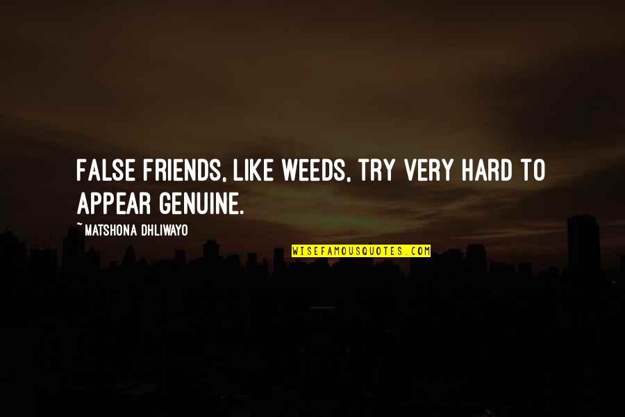 Enemy Quotes Quotes By Matshona Dhliwayo: False friends, like weeds, try very hard to