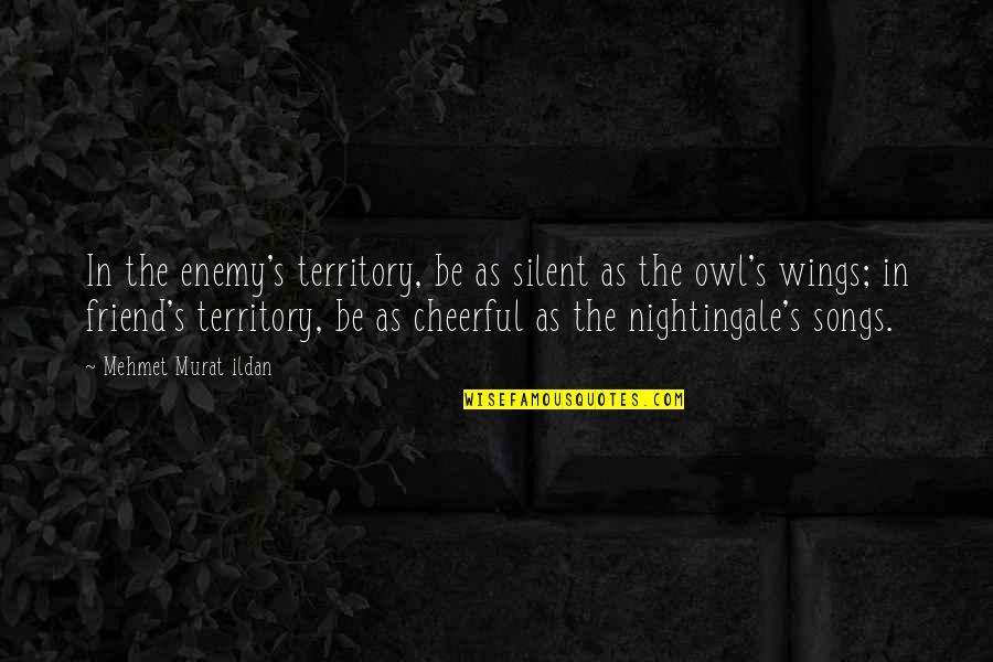 Enemy Territory Quotes By Mehmet Murat Ildan: In the enemy's territory, be as silent as