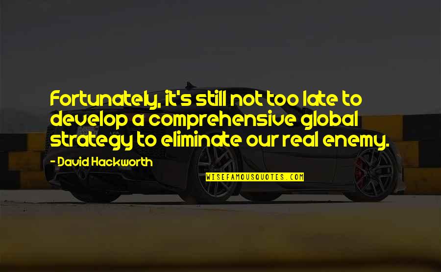 Enemy's Quotes By David Hackworth: Fortunately, it's still not too late to develop